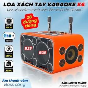 Loa Karaoke Xách Tay Cao Cấp MTMAX K6 28 Đường Tiếng, Hệ Thống Bass Đôi 25 Công Suất Mạnh Mẽ Đến 650W, Micro Không Dây Chống Hú