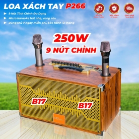 Loa Di Động Karaoke 4 Đường Tiếng MT P266  Viền Sắt 8 Cạnh Bass đôi 17cm Chỉnh Bass, Treble, Delay, Echo, Reverb... Đa Dạng Cổng Kết Nối Âm Thanh Chân Thực Chi Tiết