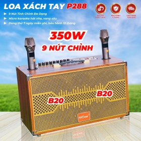 Loa Di Động Karaoke 4 Đường Tiếng MT P288  Viền Sắt 8 Cạnh Bass đôi 20cm Chỉnh Bass, Treble, Delay, Echo, Reverb... Đa Dạng Cổng Kết Nối Âm Thanh Chân Thực Chi Tiết