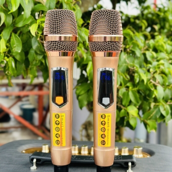Loa Karaoke Xách Tay Mới Nhất 2024 - MTMAX DK12Pro - Loa 3 Đường Tiếng Công Suất Lớn 500W, Bass Đôi 2 Tấc, Âm Thanh Mạnh Mẽ, Đi Kèm 2 Micro Cao Cấp, Bảo Hành Chính Hãng 12 Tháng