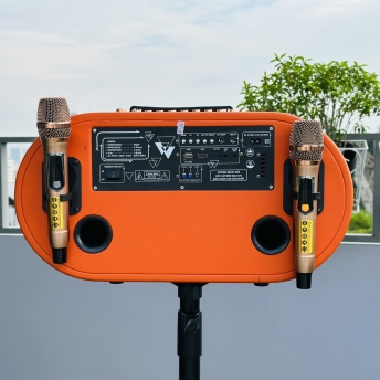 Loa Karaoke Xách Tay Mới Nhất 2024 - MTMAX DK12Pro - Loa 3 Đường Tiếng Công Suất Lớn 500W, Bass Đôi 2 Tấc, Âm Thanh Mạnh Mẽ, Đi Kèm 2 Micro Cao Cấp, Bảo Hành Chính Hãng 12 Tháng