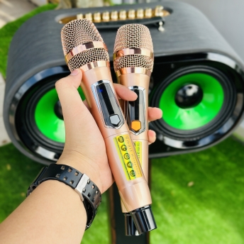 Loa Karaoke Xách Tay Mới Nhất 2024 - MTMAX DK12Pro - Loa 3 Đường Tiếng Công Suất Lớn 500W, Bass Đôi 2 Tấc, Âm Thanh Mạnh Mẽ, Đi Kèm 2 Micro Cao Cấp, Bảo Hành Chính Hãng 12 Tháng