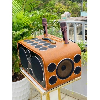 Loa Karaoke Xách Tay Cao Cấp MTMAX DVT 24 Đường Tiếng, Hệ Thống Bass Đôi 25 Công Suất Mạnh Mẽ Đến 700W, Micro Không Dây Chống Hú