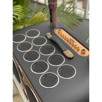 Loa Karaoke Xách Tay Cao Cấp MTMAX DVT 24 Đường Tiếng, Hệ Thống Bass Đôi 25 Công Suất Mạnh Mẽ Đến 700W, Micro Không Dây Chống Hú