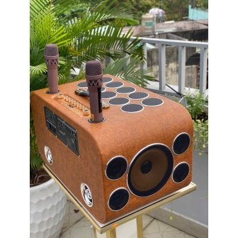 Loa Karaoke Xách Tay Cao Cấp MTMAX DVT 24 Đường Tiếng, Hệ Thống Bass Đôi 25 Công Suất Mạnh Mẽ Đến 700W, Micro Không Dây Chống Hú