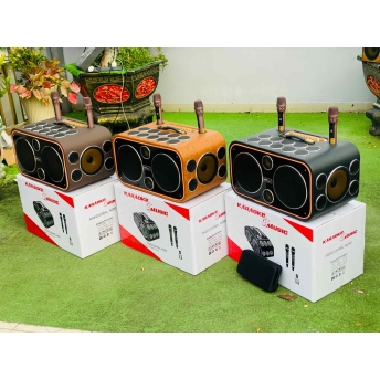Loa Karaoke Xách Tay Cao Cấp MTMAX DVT 24 Đường Tiếng, Hệ Thống Bass Đôi 25 Công Suất Mạnh Mẽ Đến 700W, Micro Không Dây Chống Hú