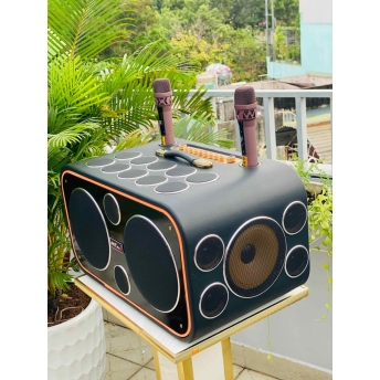 Loa Karaoke Xách Tay Cao Cấp MTMAX DVT 24 Đường Tiếng, Hệ Thống Bass Đôi 25 Công Suất Mạnh Mẽ Đến 700W, Micro Không Dây Chống Hú