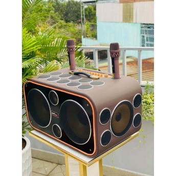 Loa Karaoke Xách Tay Cao Cấp MTMAX DVT 24 Đường Tiếng, Hệ Thống Bass Đôi 25 Công Suất Mạnh Mẽ Đến 700W, Micro Không Dây Chống Hú