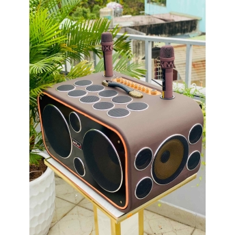Loa Karaoke Xách Tay Cao Cấp MTMAX DVT 24 Đường Tiếng, Hệ Thống Bass Đôi 25 Công Suất Mạnh Mẽ Đến 700W, Micro Không Dây Chống Hú