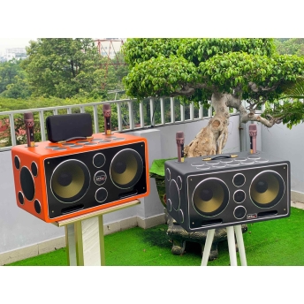 Loa Karaoke Xách Tay Cao Cấp MTMAX K10 25 Đường Tiếng, Hệ Thống Bass Đôi 25 Công Suất Mạnh Mẽ Đến 750W, Micro Hát Nhẹ Vang Sâu Trọng Lượng 27KG