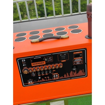 Loa Karaoke Xách Tay Cao Cấp MTMAX K10 25 Đường Tiếng, Hệ Thống Bass Đôi 25 Công Suất Mạnh Mẽ Đến 750W, Micro Hát Nhẹ Vang Sâu Trọng Lượng 27KG