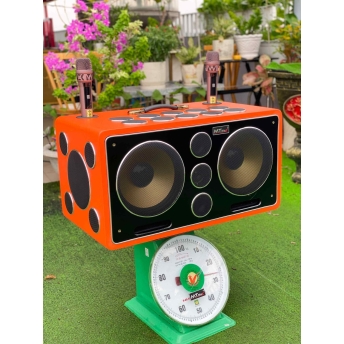 Loa Karaoke Xách Tay Cao Cấp MTMAX K10 25 Đường Tiếng, Hệ Thống Bass Đôi 25 Công Suất Mạnh Mẽ Đến 750W, Micro Hát Nhẹ Vang Sâu Trọng Lượng 27KG