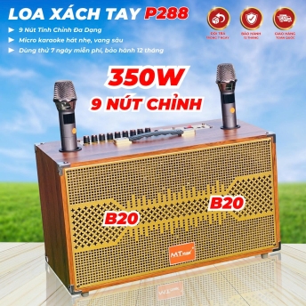 Loa Di Động Karaoke 4 Đường Tiếng MT P288  Viền Sắt 8 Cạnh Bass đôi 20cm Chỉnh Bass, Treble, Delay, Echo, Reverb... Đa Dạng Cổng Kết Nối Âm Thanh Chân Thực Chi Tiết