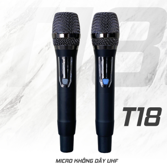 LOA XÁCH TAY CỔ ĐIỂN MTMAX T18 – DÒNG LOA GIÁ RẺ CHO NGƯỜI YÊU ÂM NHẠC