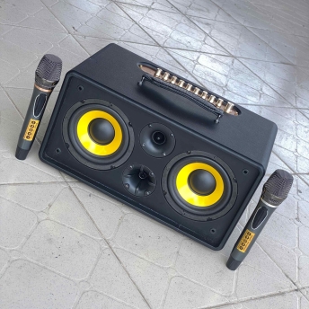 Loa Di Động MTMAX DK01 – Loa Xách Tay Công Suất Lớn, Bass Đôi, Kèm 2 Micro Cao Cấp
