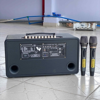 Loa Di Động MTMAX DK01 – Loa Xách Tay Công Suất Lớn, Bass Đôi, Kèm 2 Micro Cao Cấp