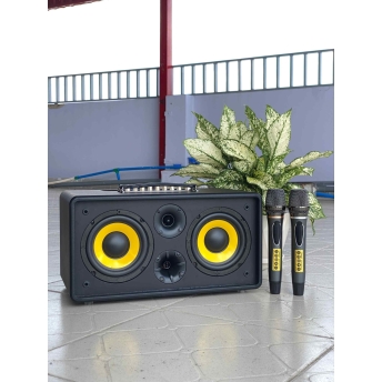 Loa Di Động MTMAX DK01 – Loa Xách Tay Công Suất Lớn, Bass Đôi, Kèm 2 Micro Cao Cấp