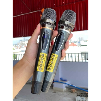 Loa Di Động MTMAX DK01 – Loa Xách Tay Công Suất Lớn, Bass Đôi, Kèm 2 Micro Cao Cấp