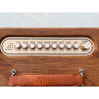 Loa Xách Tay Karaoke MTMAX DK192Pro Bass 20, 2 Trung, 2 Treble Công Suất Đến 500W Chỉnh Bass, Treble, Echo, Vererb, Delay.. Cùng Công Nghệ Bass Boost Nghe Nhạc Căng Ấm, Tiếng Lên Siêu Rõ