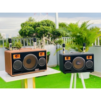 Loa Xách Tay Karaoke MTMAX DK192Pro Bass 20, 2 Trung, 2 Treble Công Suất Đến 500W Chỉnh Bass, Treble, Echo, Vererb, Delay.. Cùng Công Nghệ Bass Boost Nghe Nhạc Căng Ấm, Tiếng Lên Siêu Rõ