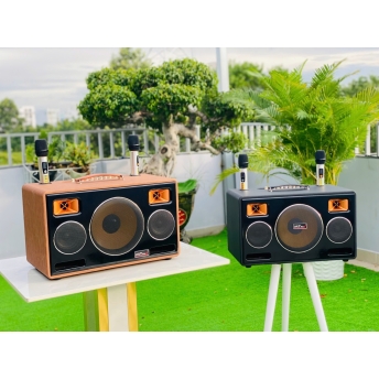 Loa Xách Tay Karaoke MTMAX DK192Pro Bass 20, 2 Trung, 2 Treble Công Suất Đến 500W Chỉnh Bass, Treble, Echo, Vererb, Delay.. Cùng Công Nghệ Bass Boost Nghe Nhạc Căng Ấm, Tiếng Lên Siêu Rõ