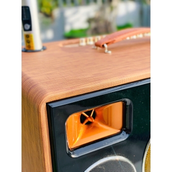Loa Xách Tay Karaoke MTMAX DK192Pro Bass 20, 2 Trung, 2 Treble Công Suất Đến 500W Chỉnh Bass, Treble, Echo, Vererb, Delay.. Cùng Công Nghệ Bass Boost Nghe Nhạc Căng Ấm, Tiếng Lên Siêu Rõ