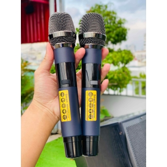 Loa Kéo Karaokae MTMAX E8Pro 2 bass 20 + 2 middle 10 cm + 2 Treble Neodium 3 Đường Tiếng Công Suất Đến 800W Chơi Được 30-50 Người Dùng Thử Miễn Phí 7 Ngày, Bảo Hành Đến 12 Tháng