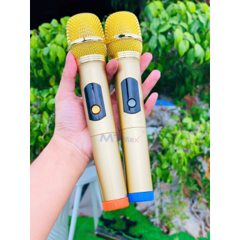 Loa Xách Tay Bọc Da Cao Cấp MTMAX VB-89 Pro Công Suất Lên Đến 500W, Bass 20, 1 Trung, 1 Treble, Kèm 2 Micro Không Dây Chống Hú
