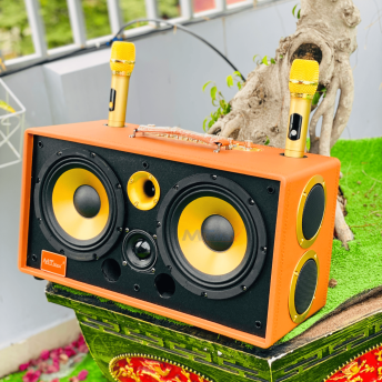 Loa Xách Tay Bọc Da Cao Cấp MTMAX VB-89 Pro Công Suất Lên Đến 500W, Bass 20, 1 Trung, 1 Treble, Kèm 2 Micro Không Dây Chống Hú