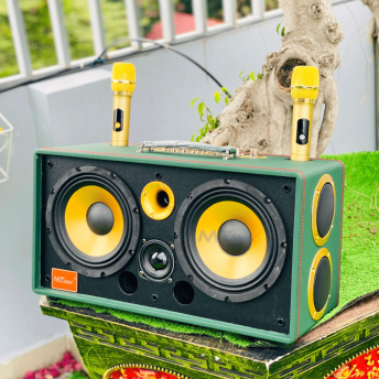 Loa Xách Tay Bọc Da Cao Cấp MTMAX VB-89 Pro Công Suất Lên Đến 500W, Bass 20, 1 Trung, 1 Treble, Kèm 2 Micro Không Dây Chống Hú