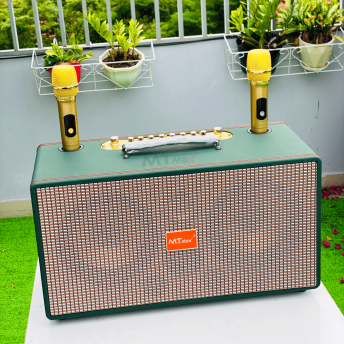 Loa Xách Tay Bọc Da Cao Cấp MTMAX VB-89 Pro Công Suất Lên Đến 500W, Bass 20, 1 Trung, 1 Treble, Kèm 2 Micro Không Dây Chống Hú