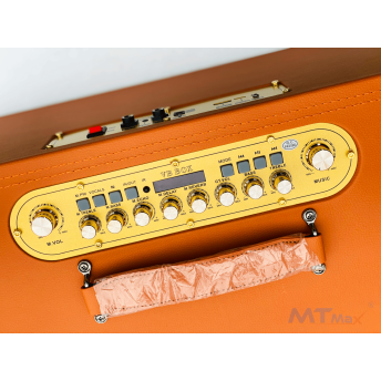 Loa Xách Tay Bọc Da Cao Cấp MTMAX VB-89 Pro Công Suất Lên Đến 500W, Bass 20, 1 Trung, 1 Treble, Kèm 2 Micro Không Dây Chống Hú