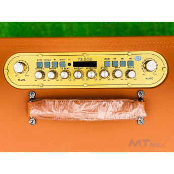 Loa Xách Tay Bọc Da Cao Cấp MTMAX VB-89 Pro Công Suất Lên Đến 500W, Bass 20, 1 Trung, 1 Treble, Kèm 2 Micro Không Dây Chống Hú