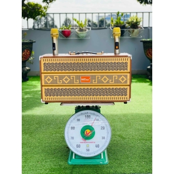 Loa Di Động Karaoke 6 Đường Tiếng MTMAX E9Pro Viền Sắt 8 Cạnh 6 Đường Tiếng Bass đôi 20 Chỉnh Bass, Treble, Delay, Echo Đa Dạng Cổng Kết Nối Âm Thanh Chân Thực Chi Tiết
