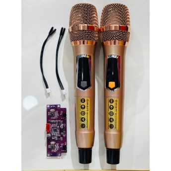 Bộ Micro Kèm Bo Mạch TK11 Cho Loa Kéo - Loa Kéo Bị Hỏng Micro Và Vẫn Chưa Tìm Thấy Micro Chất Lượng Để Thay Thế
