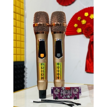 Bộ Micro Kèm Bo Mạch TK11 Cho Loa Kéo - Loa Kéo Bị Hỏng Micro Và Vẫn Chưa Tìm Thấy Micro Chất Lượng Để Thay Thế