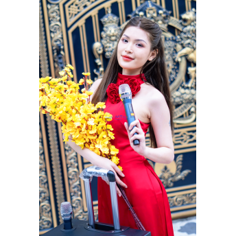 Loa Kéo Karaoke MTMAX 1002 Hệ Thống Bass 30, 1 Trung, 1 Treble, Công Suất 450 -  500W, Kèm 2 Micro Bắt Sóng Xa, Chống Hú, Loa Chơi Được Từ 30 Người Trở Lên, Karaoke Gia Đình, Phòng Trà