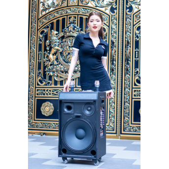 Loa Kéo Karaoke MTMAX 1002 Hệ Thống Bass 30, 1 Trung, 1 Treble, Công Suất 450 -  500W, Kèm 2 Micro Bắt Sóng Xa, Chống Hú, Loa Chơi Được Từ 30 Người Trở Lên, Karaoke Gia Đình, Phòng Trà