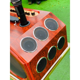 Loa Karaoke Xách Tay Cao Cấp MTMAX V3Pro 16 Đường Tiếng, Hệ Thống Bass Đôi 20, 2 Treble, 12 Trung, Công Suất Mạnh Mẽ 350W-500W, Công Nghệ DSP Hiện Đại, Micro Không Dây Chống Hú